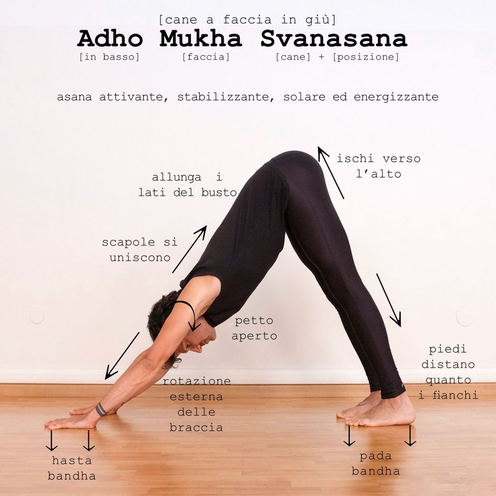 Adho Mukha Svanasana