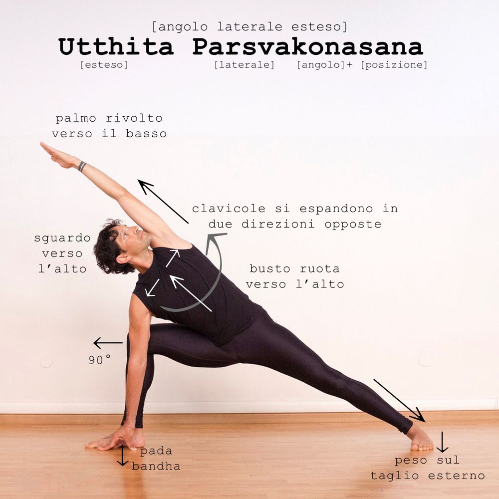 Utthita Parsvakonasana